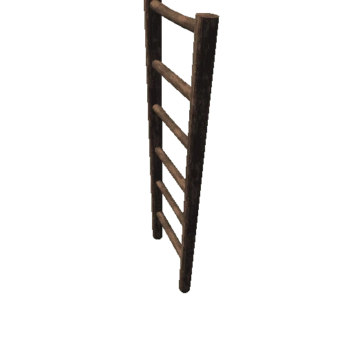 Long ladder